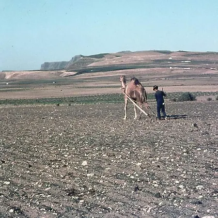 Casa Victoria Holiday home