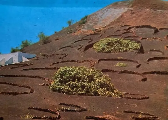 Σπίτι διακοπών Casa Victoria Soo