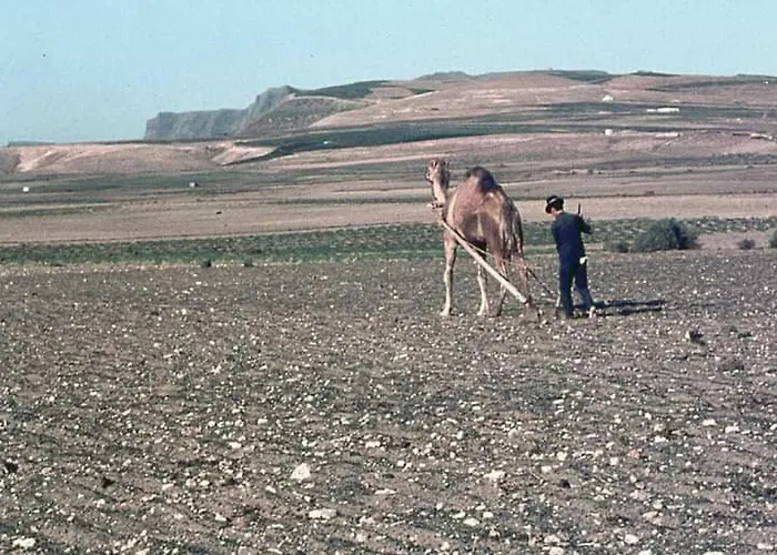 Casa Victoria Casa vacanze